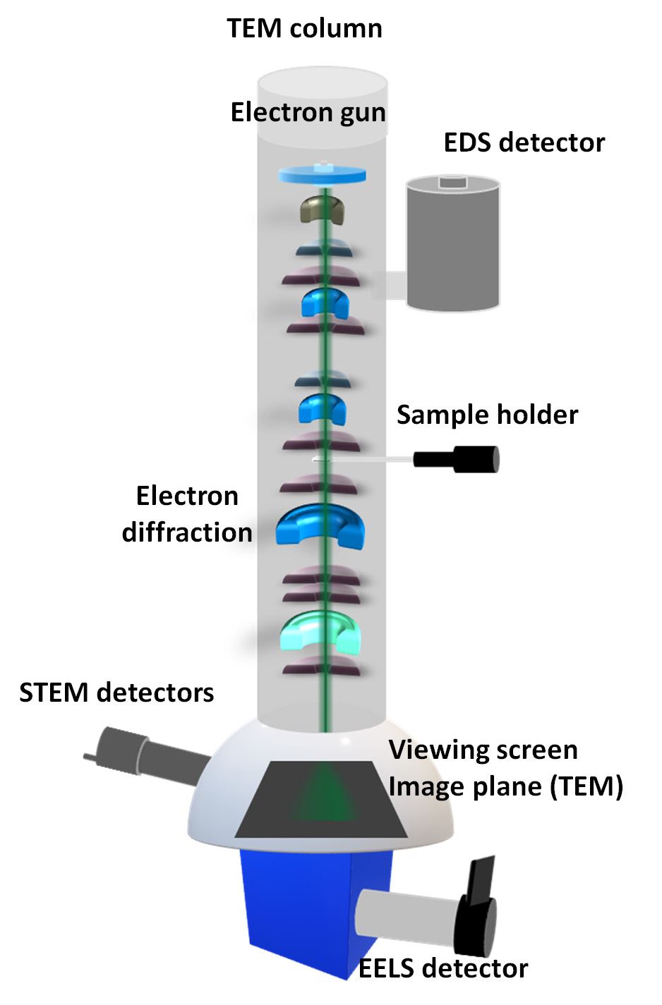 Tem Sample Storage TEM sample requirements - SINTEF