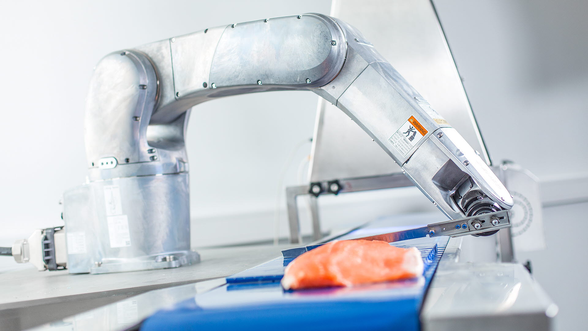 Lønnsom foredling av sjømat i Norge