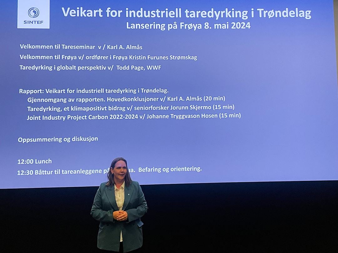 Dame som presenterer foran skjerm med skrift.