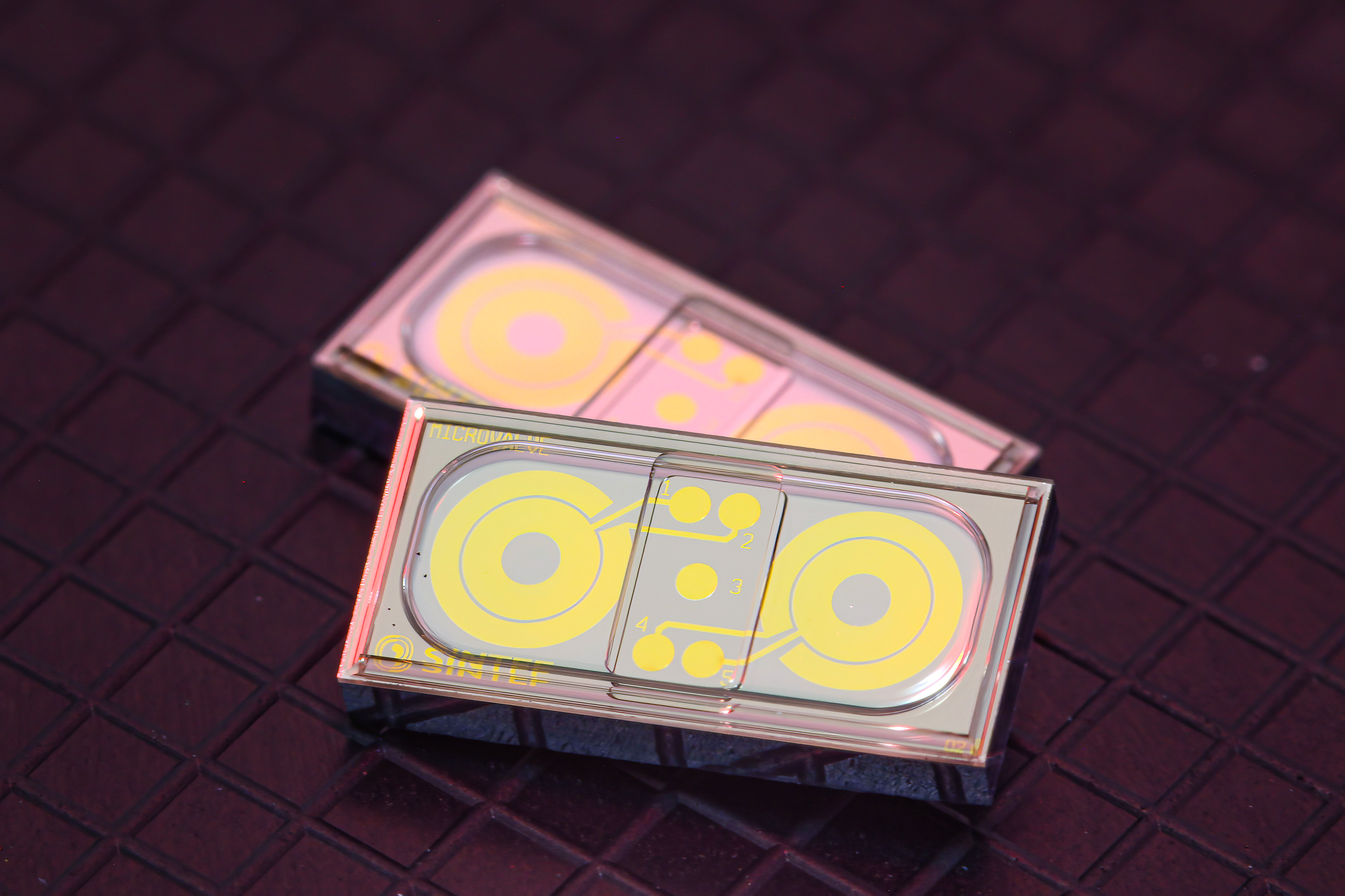 Piezoelectric Microsystems