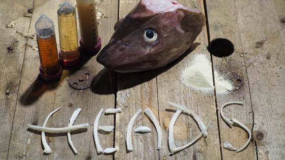 SMART – Bærekraftig produksjon av næringsrike marine proteiner