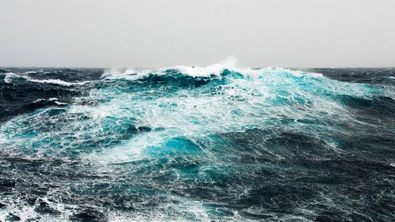 The impact of the production environment on fish behaviour, biology and welfare in exposed aquaculture and offshore aquaculture (PROHAV)