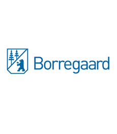 Borregaard AS