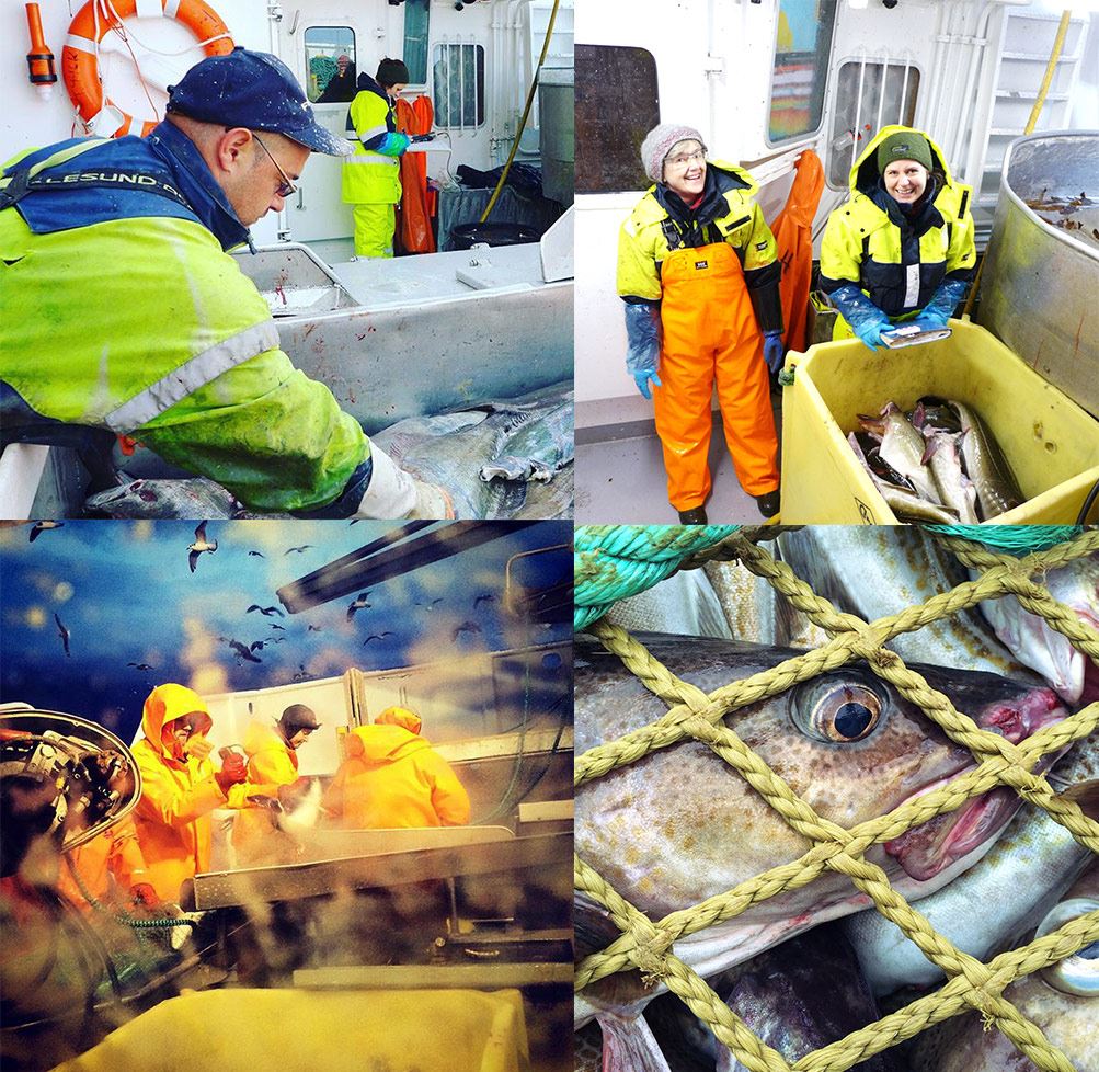 fiskere og forskere ombord i fiskebåt
