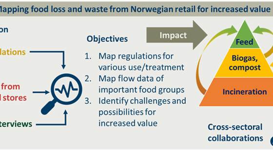Mapping food waste from Norwegian grocery stores