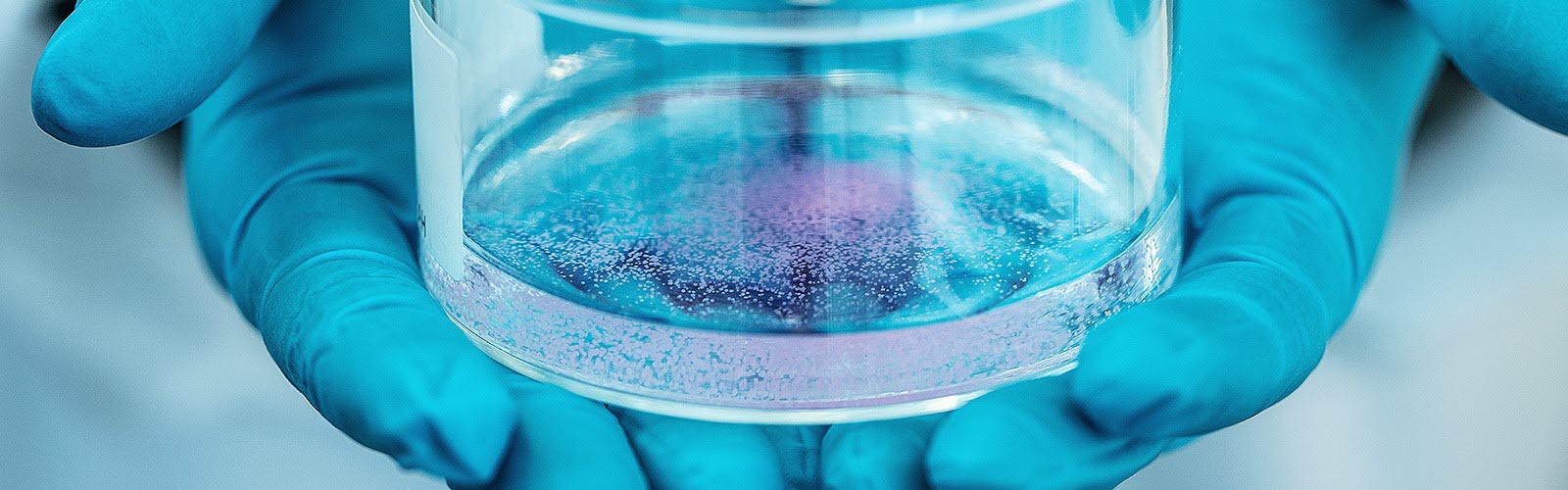 Søk sommerjobb her!