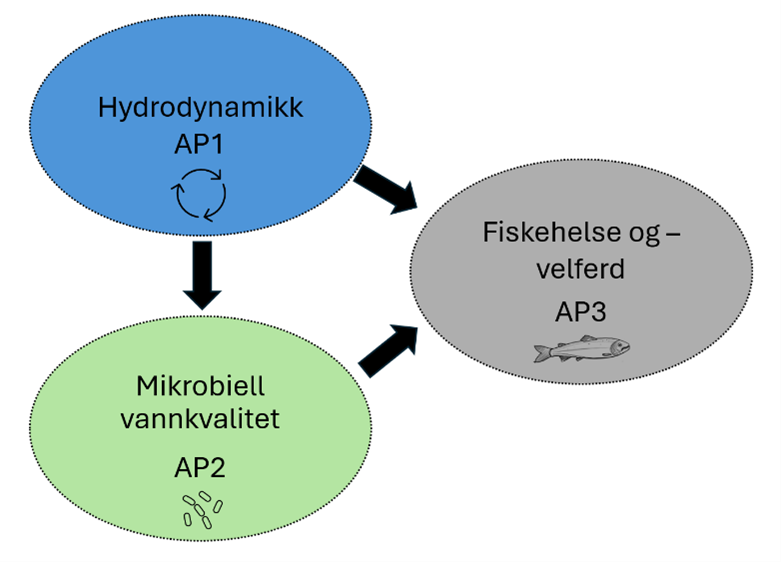 Målene illustrert