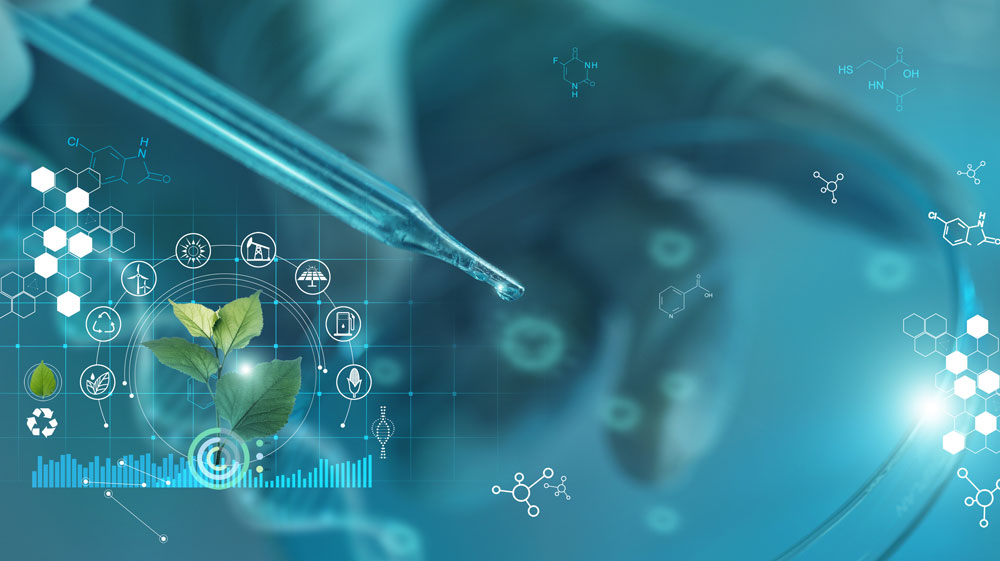 Nordic Energy Outlooks