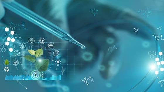 Nordic Energy Outlooks