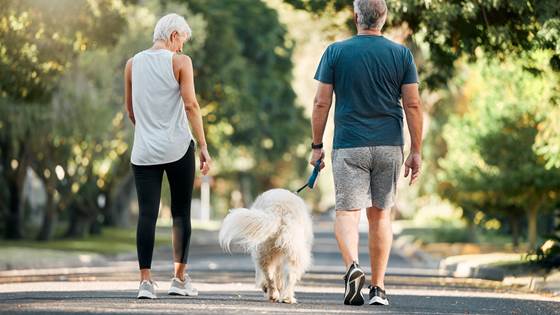 Living well with progressive multiple sclerosis: rehabilitation to improve functioning and wellbeing