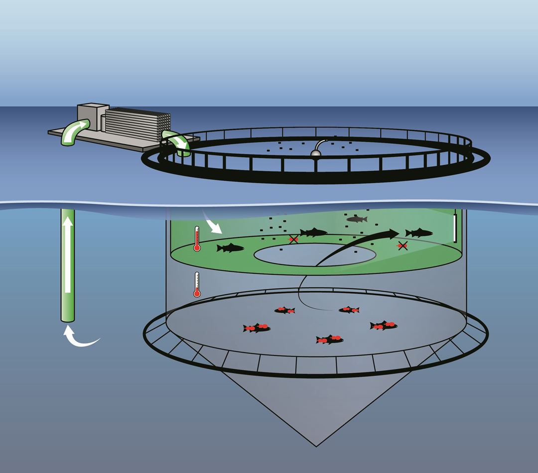 Konseptskisse av løsning