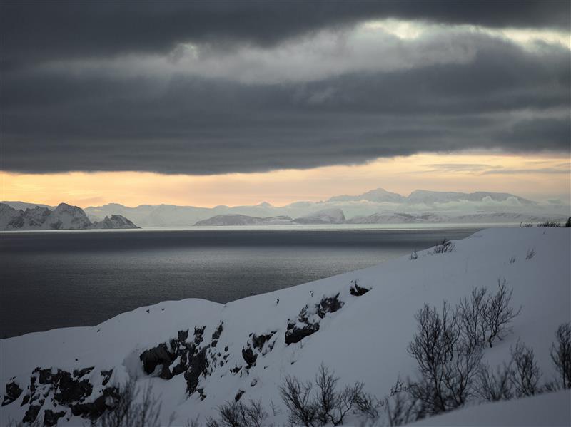 SINTEF og NIVA skal lede nytt natursenter