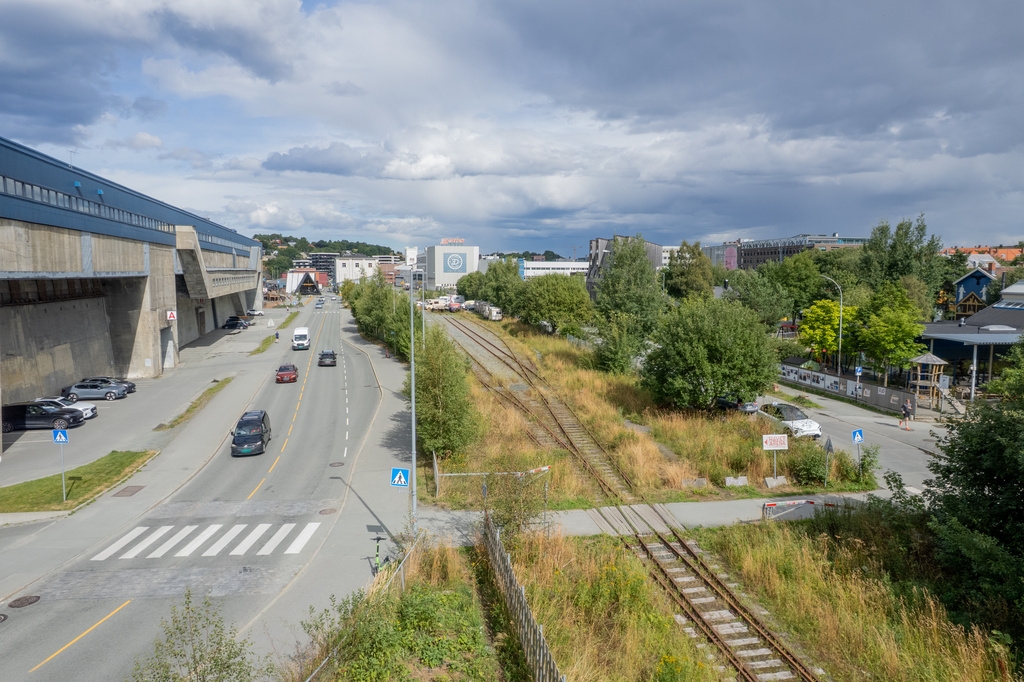 Hvordan måler vi verdien av grøntområder i byen?