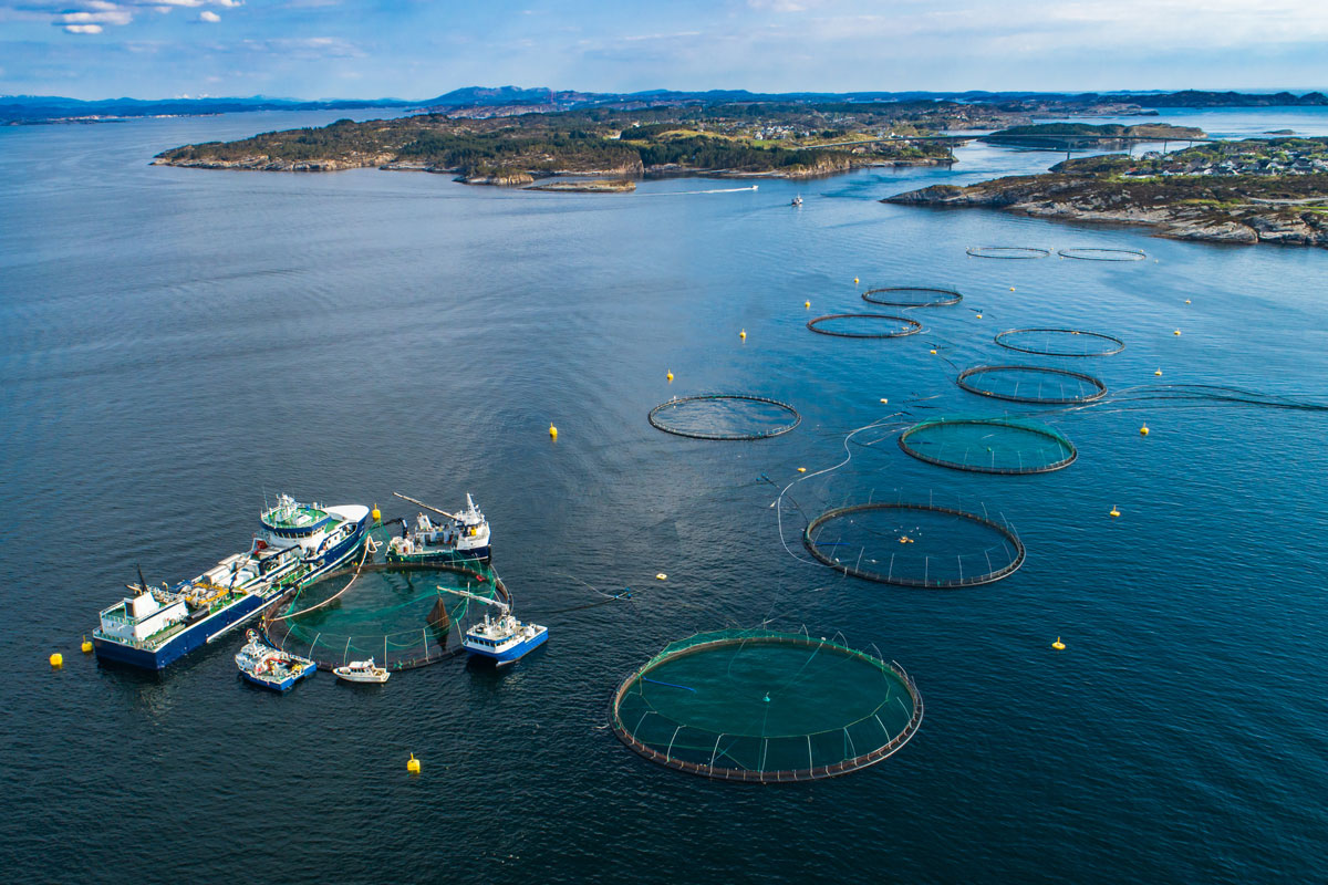 Havbruksanlegg med båt. Kyst i bagrunnen.
