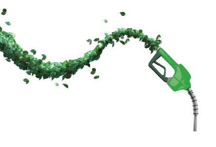 Fuel pump with leaves