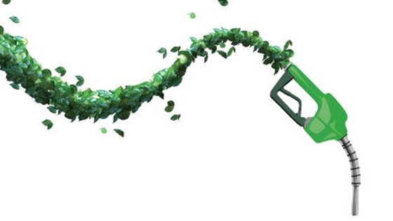 GasBio - Gasification for Biofuels