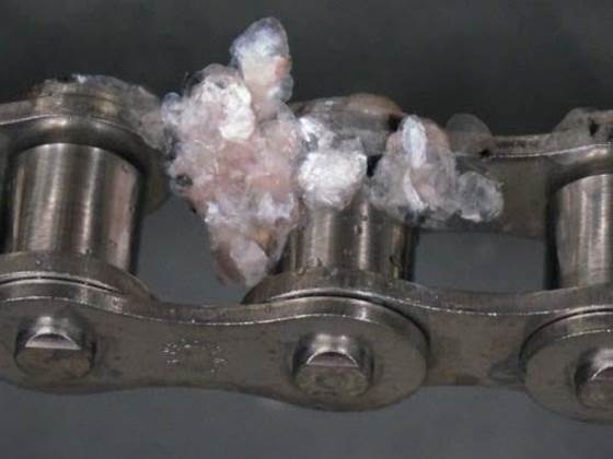 Autonome, robotiserte vaskeløsninger for fiskeri- og havbruksnæringen