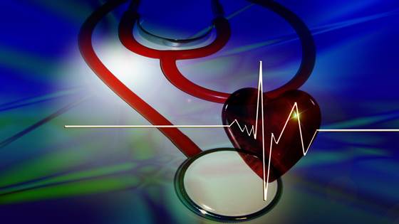 Evaluation of Occupational Health Services