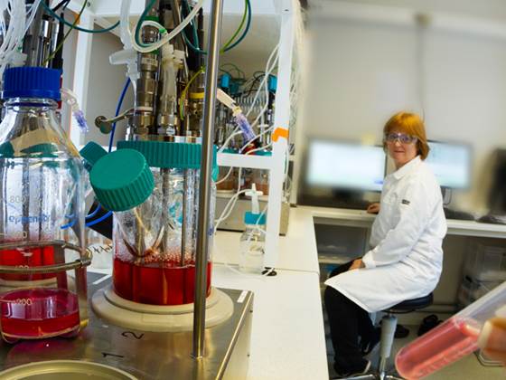Avdeling for Bioteknologi og nanomedisin