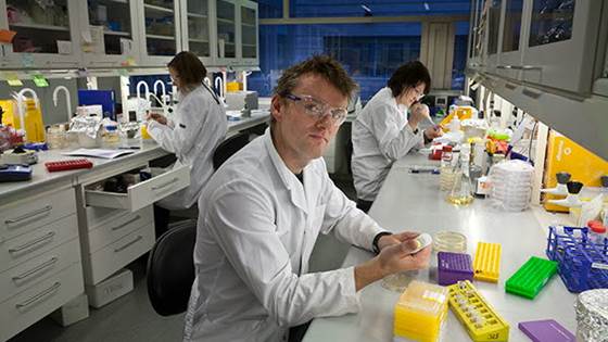 PROMYSE – Products from methanol by synthetic cell factories