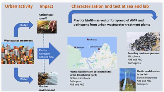 PlastiSpread – Plastics as a potential vector for spread of antimicrobial resistance and pathogens from wastewater discharge in the marine environment