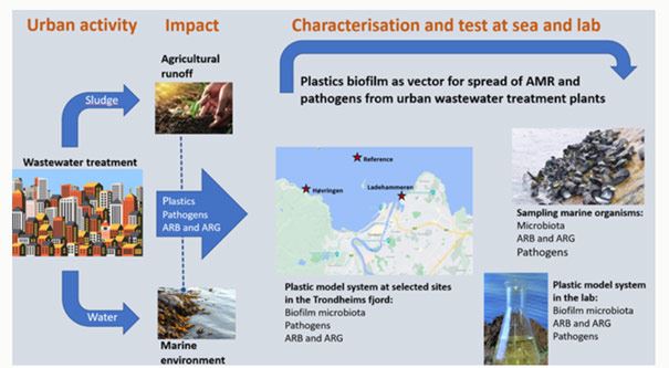 Modellen viser problemstillingen bak prosjektet PlastiSpread