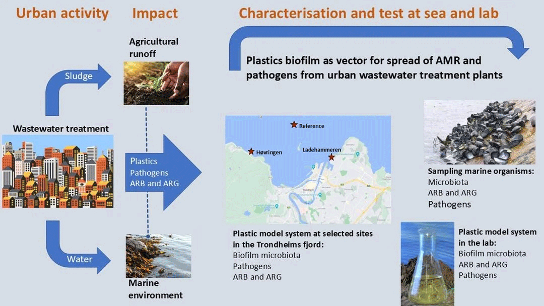 PlastiSpread – Plastics as a potential vector for spread of antimicrobial resistance and pathogens from wastewater discharge in the marine environment