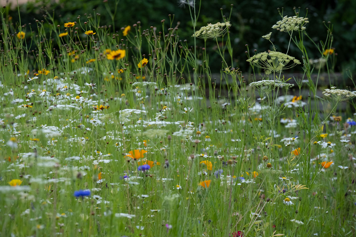 Webinar: Nature degradation in Norway and Europe