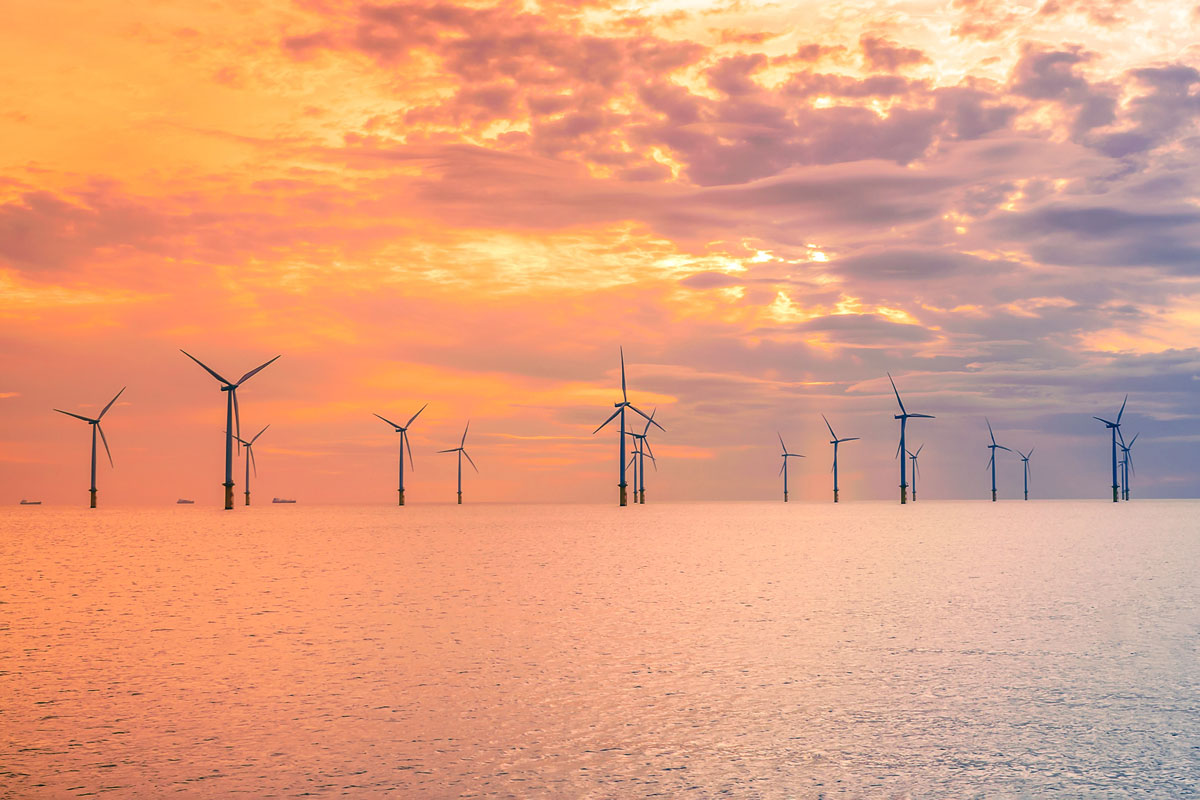 OLAMUR - Offshore Low-Trophic Aquaculture in Multi-use Scenario Realisation in the North and Baltic Seas