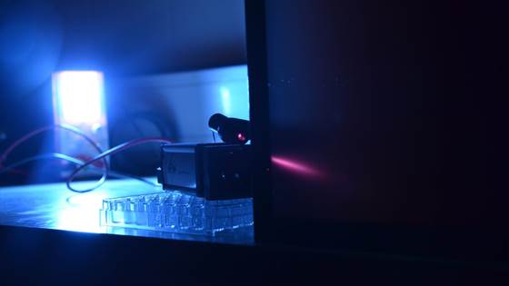 Biomass measurement using machine vision