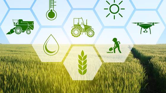 SMARAGD - Smart Agriculture Data Fusion for Decision Support