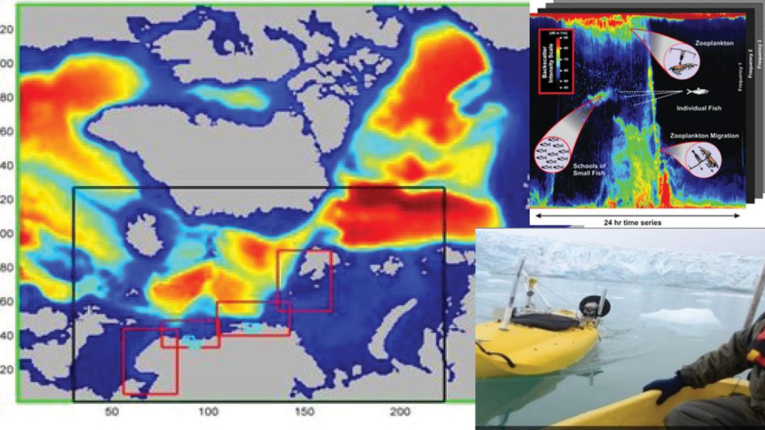 Estimering av biomasse ved hjelp av simulering- bilde av datasimulerte bilder