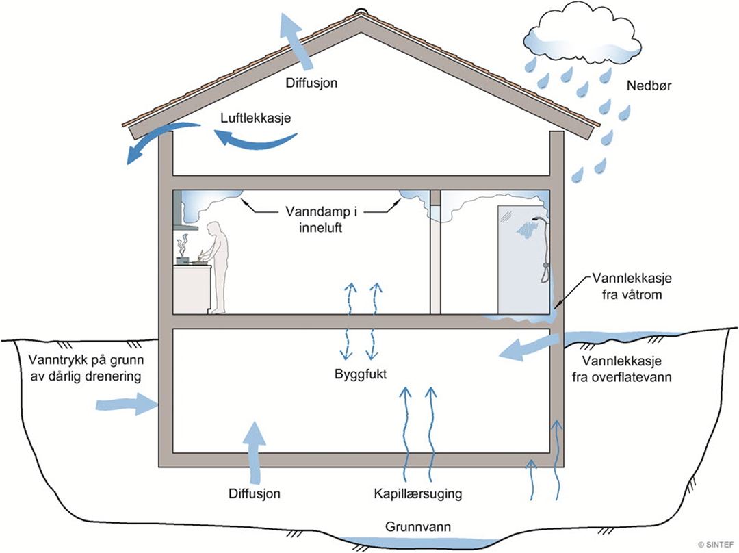 Illustrasjonen viser vanlige fuktkilder og fukttransportformer