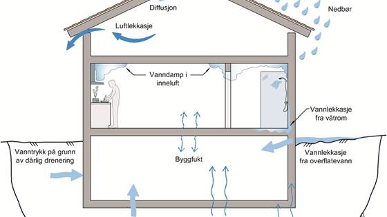 Byggforskserien med nyttig anvisning om fuktteori