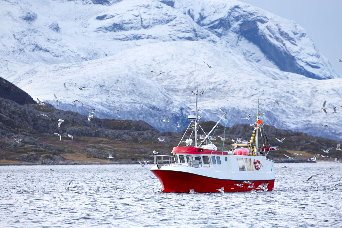 Traceable fisheries for a prepared Arctic: Technology, governance, and food security (Arctic Frontiers)