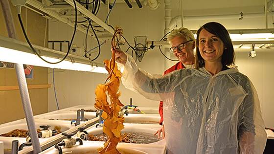 Politisk fokus på synergier mellom havbruk og landbruk