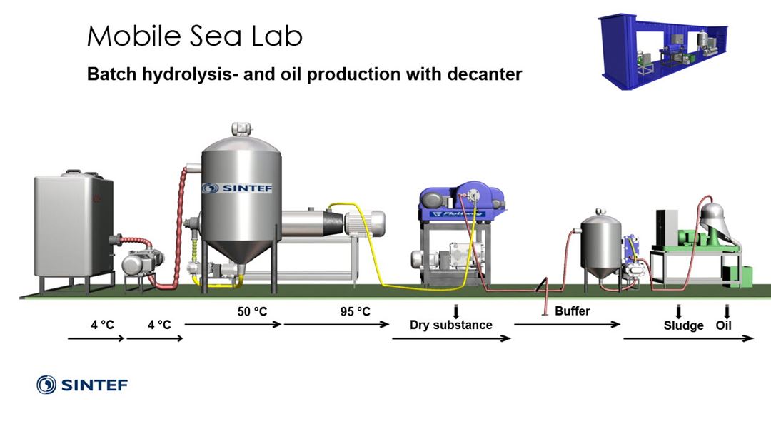 Batchhydrolyse