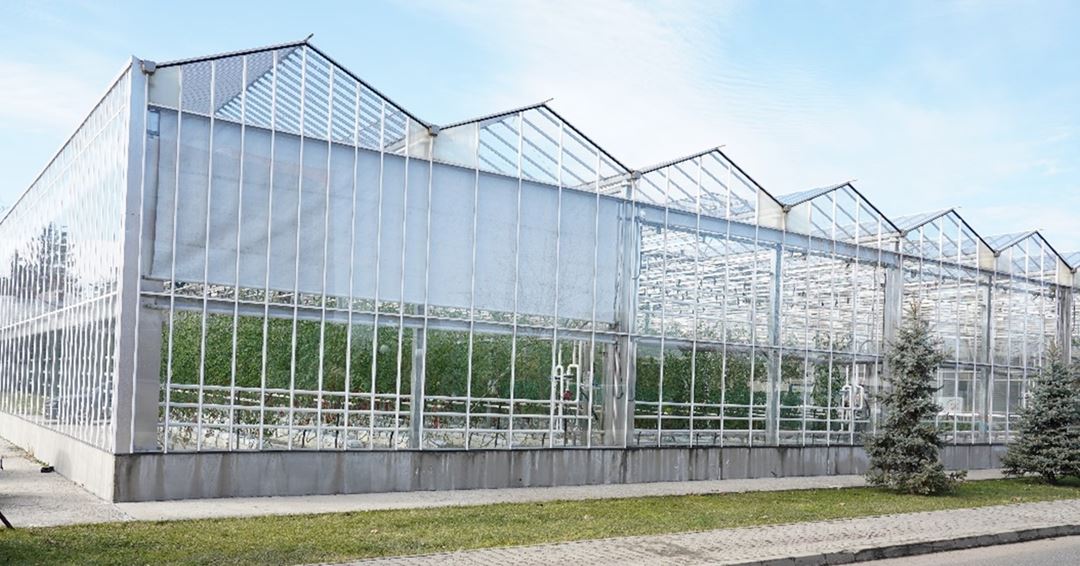 The research greenhouse at the University of Agronomic Sciences and Veterinary Medicine of Bucharest (USAMV), Romania 