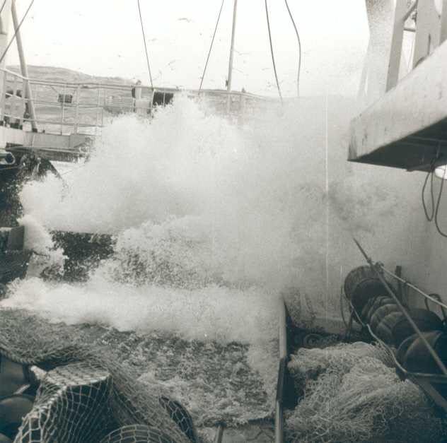 Hvilke verdier skapes i fiskeri- og havbruksnæringen?