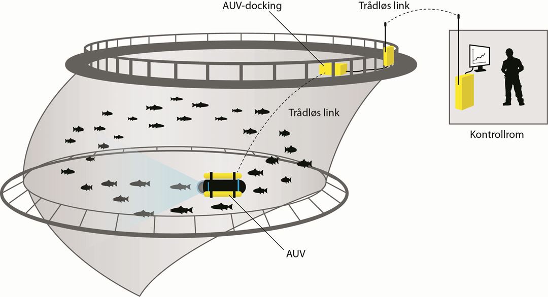 illustrasjon av merd med fisk og AUV