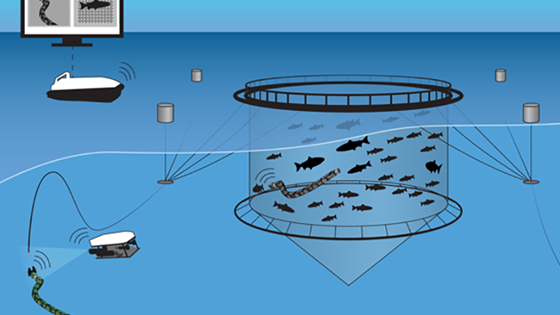 RACE Fish-Machine Interaction