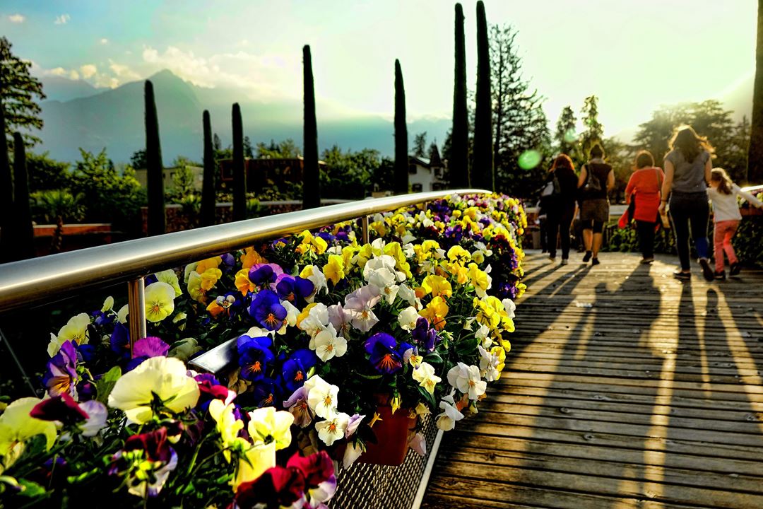 Mennesker går over en bro som  er pyntet med blomster