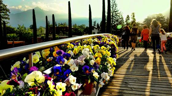 God arkitektur - bare til pynt eller samfunnsøkonomisk gevinst? Møt forskerne på Arendalsuka