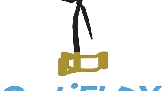 OptiFLEX - Coupled vibrations of large optimized floating wind turbines