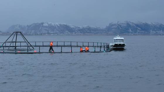 Ripple effect analysis for fisheries and aquaculture