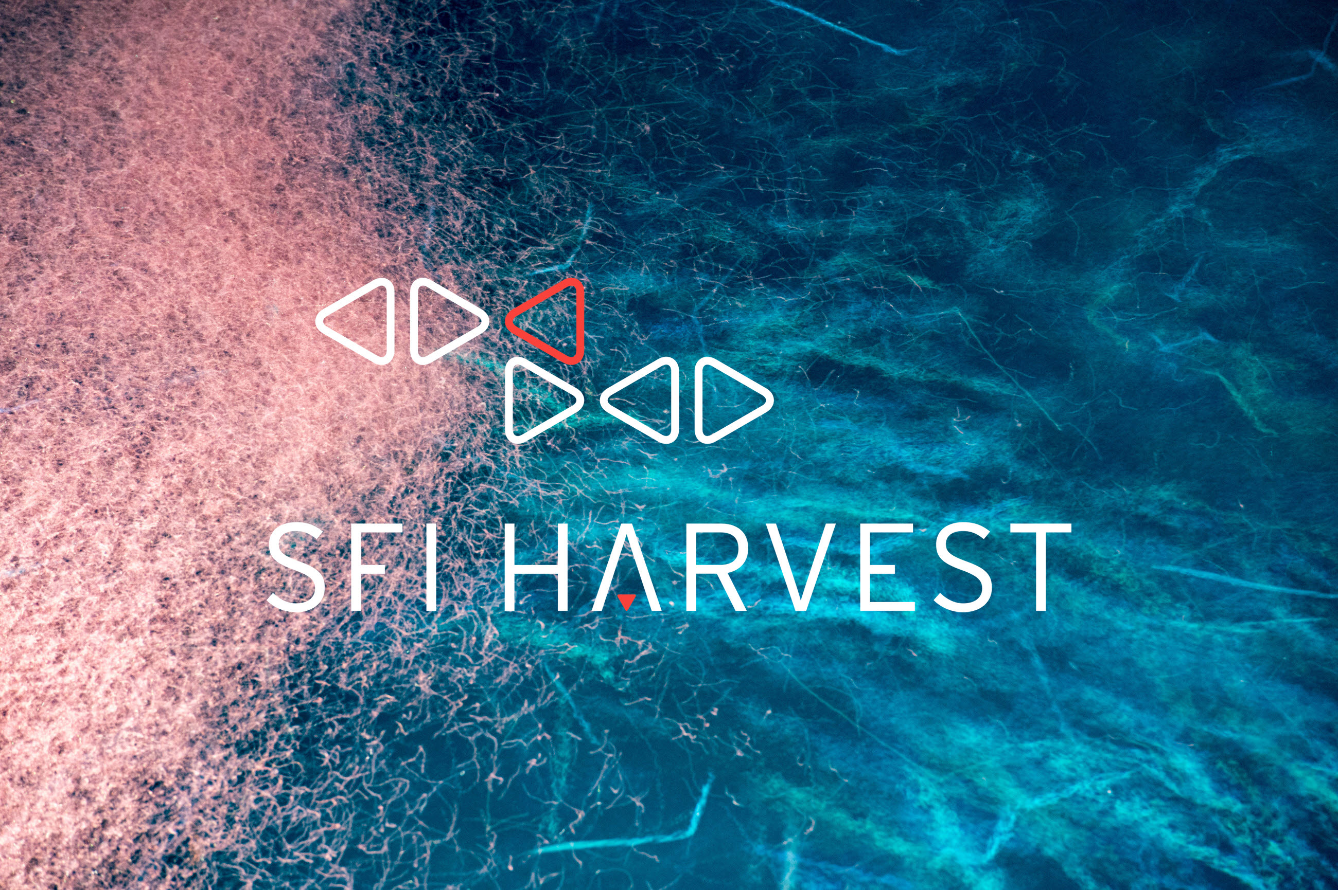 SFI Harvest – et nytt spennende fiskeeventyr?
