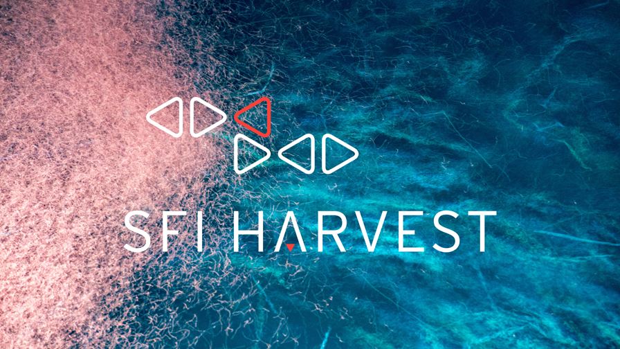 SFI Harvest – et nytt spennende fiskeeventyr?