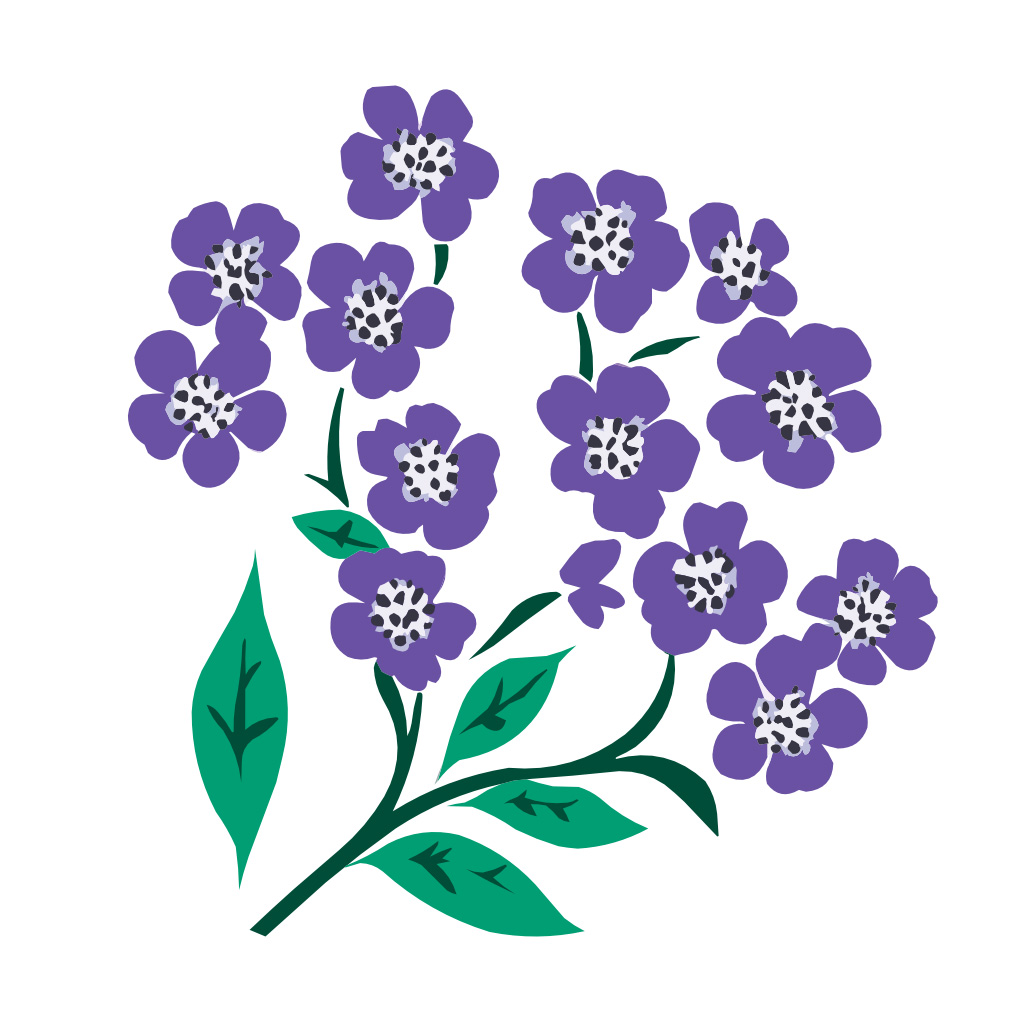 VERBENA: Verktøy for klimatilpasning og naturbaserte løsninger (webinar 2)