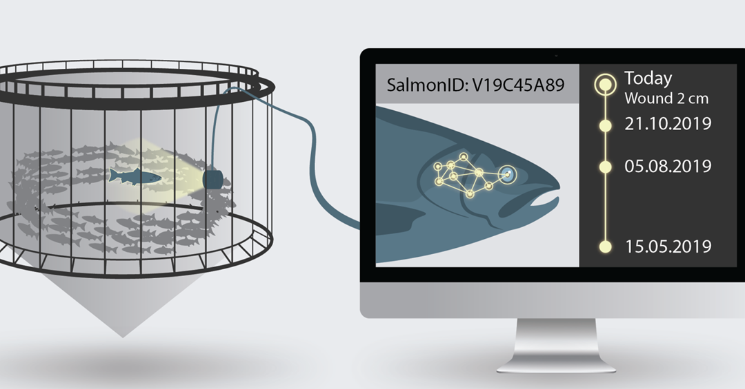 Illustrasjon av prosjektet