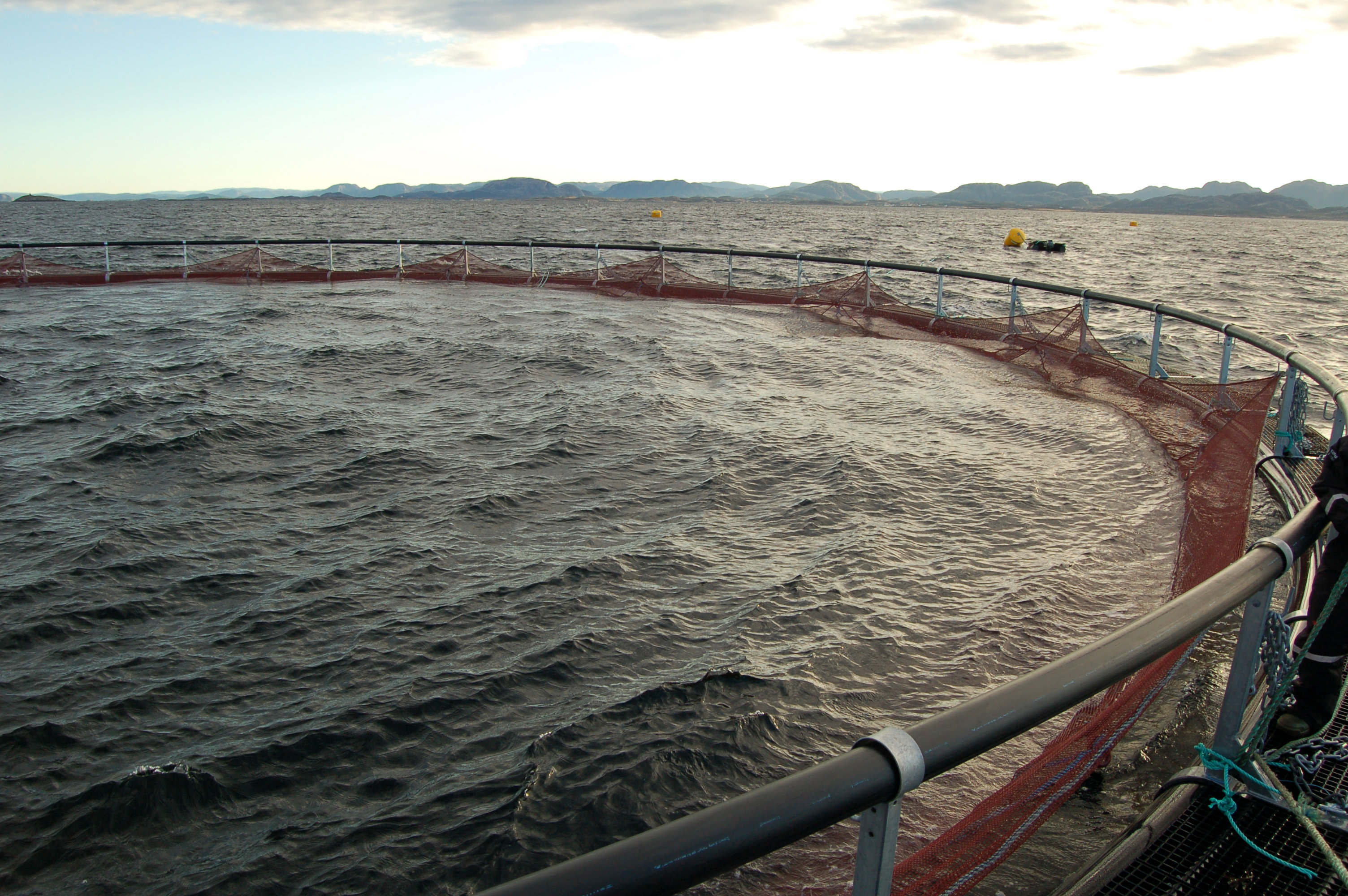 Workshop om klimarapportering